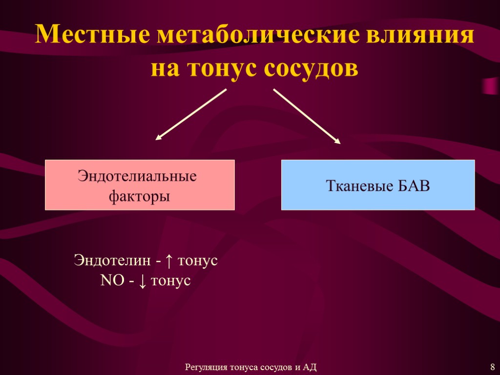 Местные метаболические влияния на тонус сосудов Эндотелиальные факторы Тканевые БАВ Эндотелин - ↑ тонус